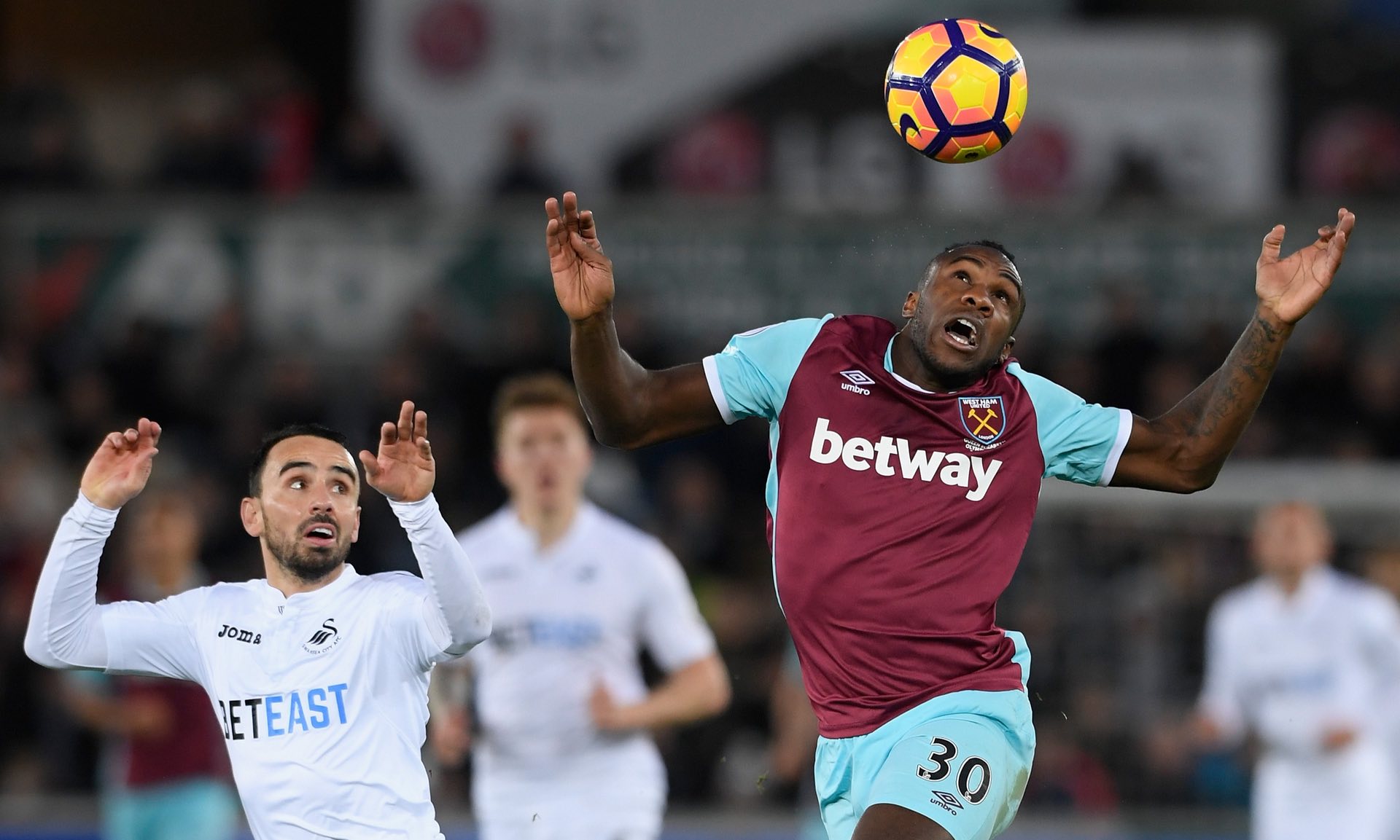 节都展示了 节都展示了